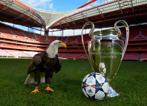 小法：我非常看好国米的路易斯-恩里克，去年还曾尝试签下他（法布雷加斯：看好国米的路易斯-恩里克，去年曾尝试引进他）